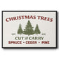 Christmas Farm Sign I - Floater Framed Canvas Print