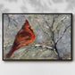 Cardinal in Snow II - Floater Framed Canvas Print