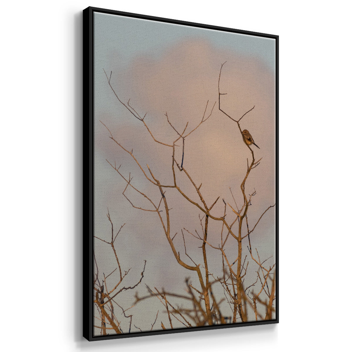 At Dawn - Floater Framed Canvas Print