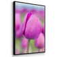 Magenta Stem - Floater Framed Canvas Print