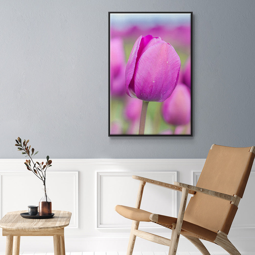 Magenta Stem - Floater Framed Canvas Print