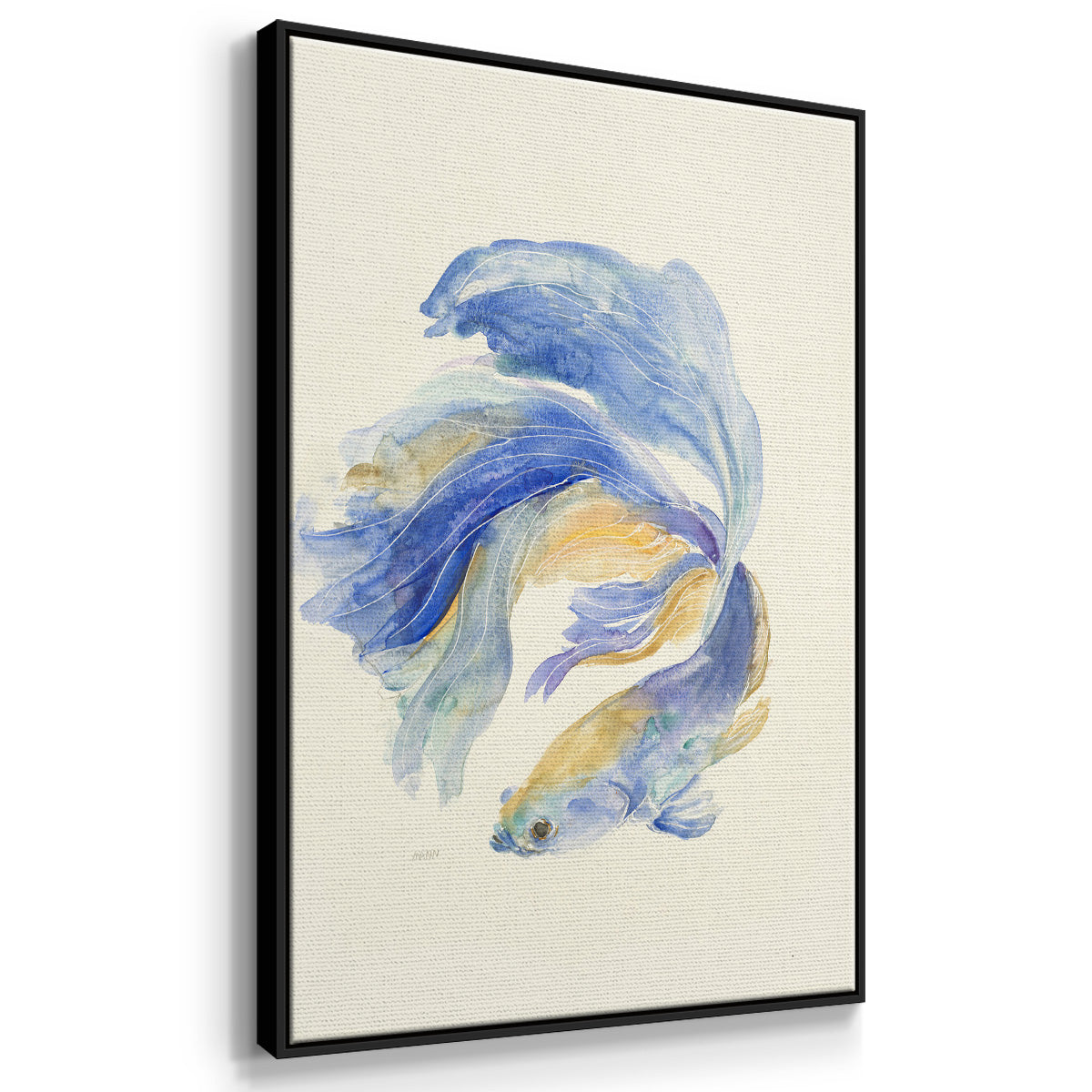 Betta II - Floater Framed Canvas Print