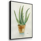 Succulent IV - Floater Framed Canvas Print