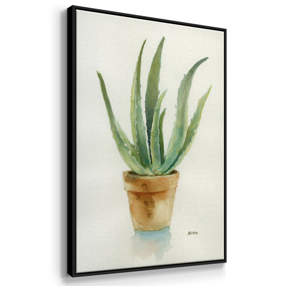 Succulent IV - Floater Framed Canvas Print