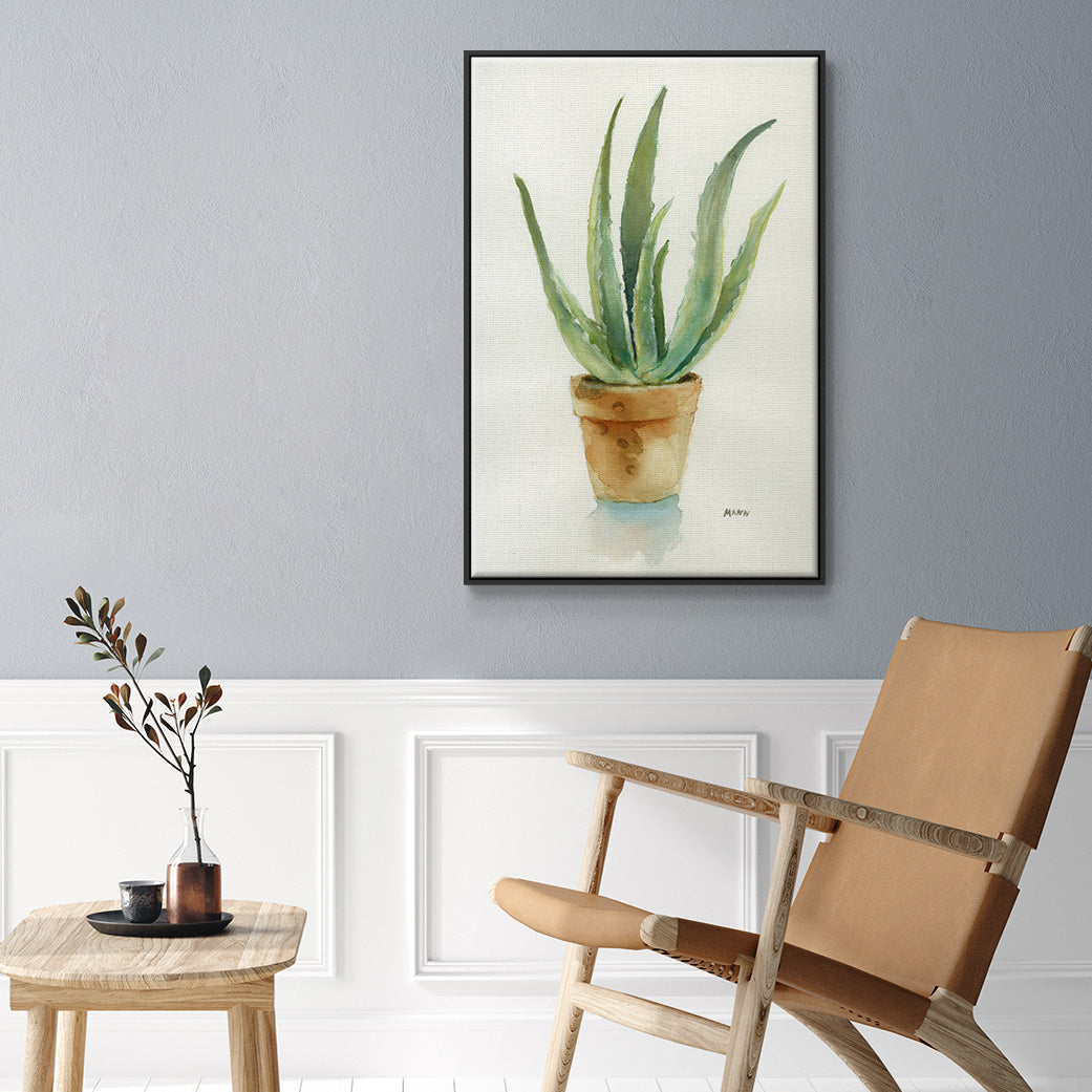 Succulent IV - Floater Framed Canvas Print