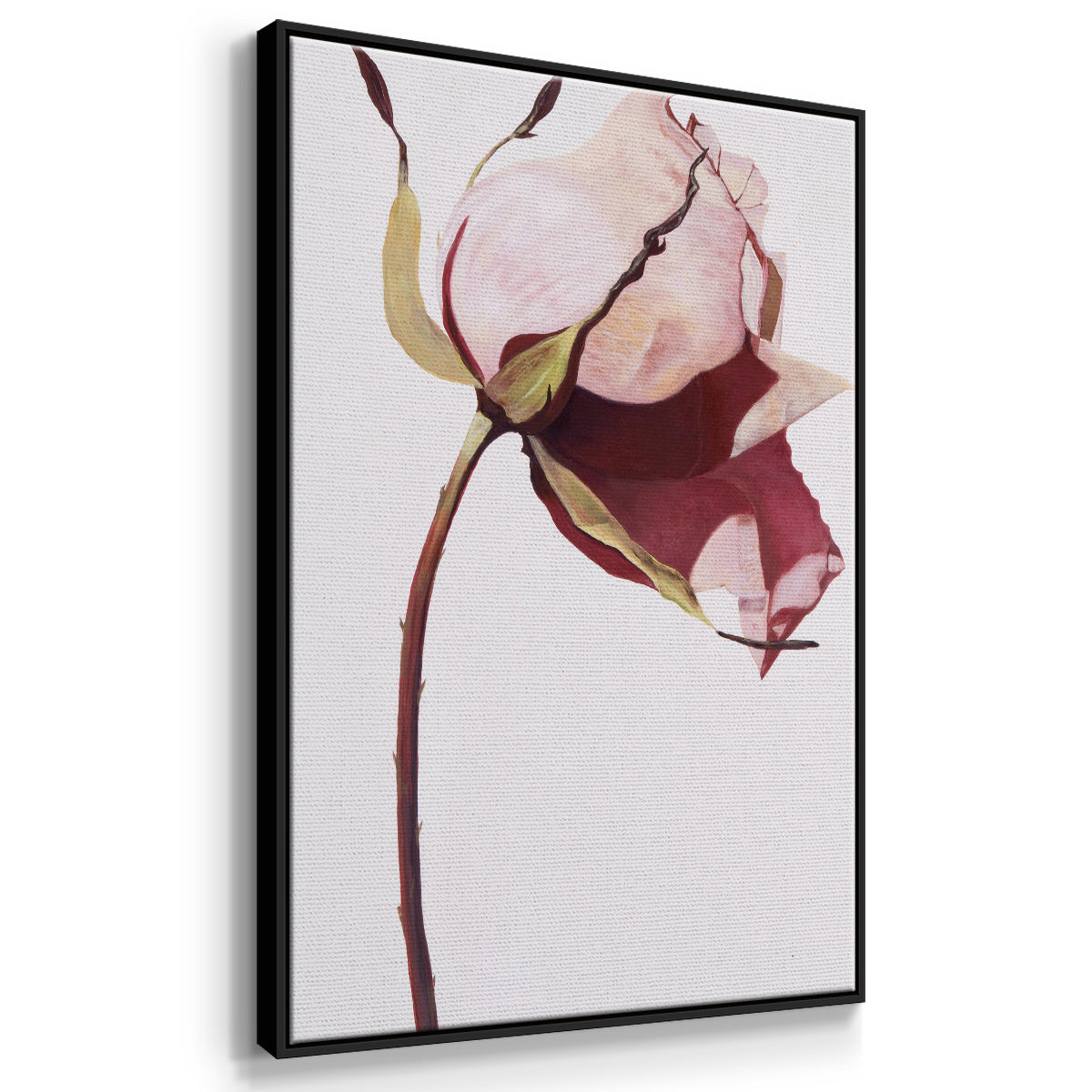 Love Is A Rose I - Floater Framed Canvas Print