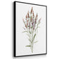Dainty Botanical I - Floater Framed Canvas Set