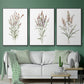 Dainty Botanical I - Floater Framed Canvas Set