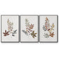 Autumn Leaves I - Floater Framed Canvas Set
