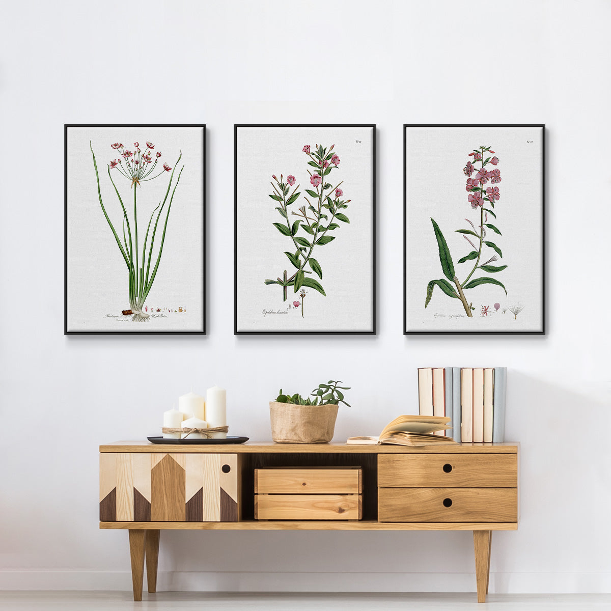 Rose Botanical I - Floater Framed Canvas Set