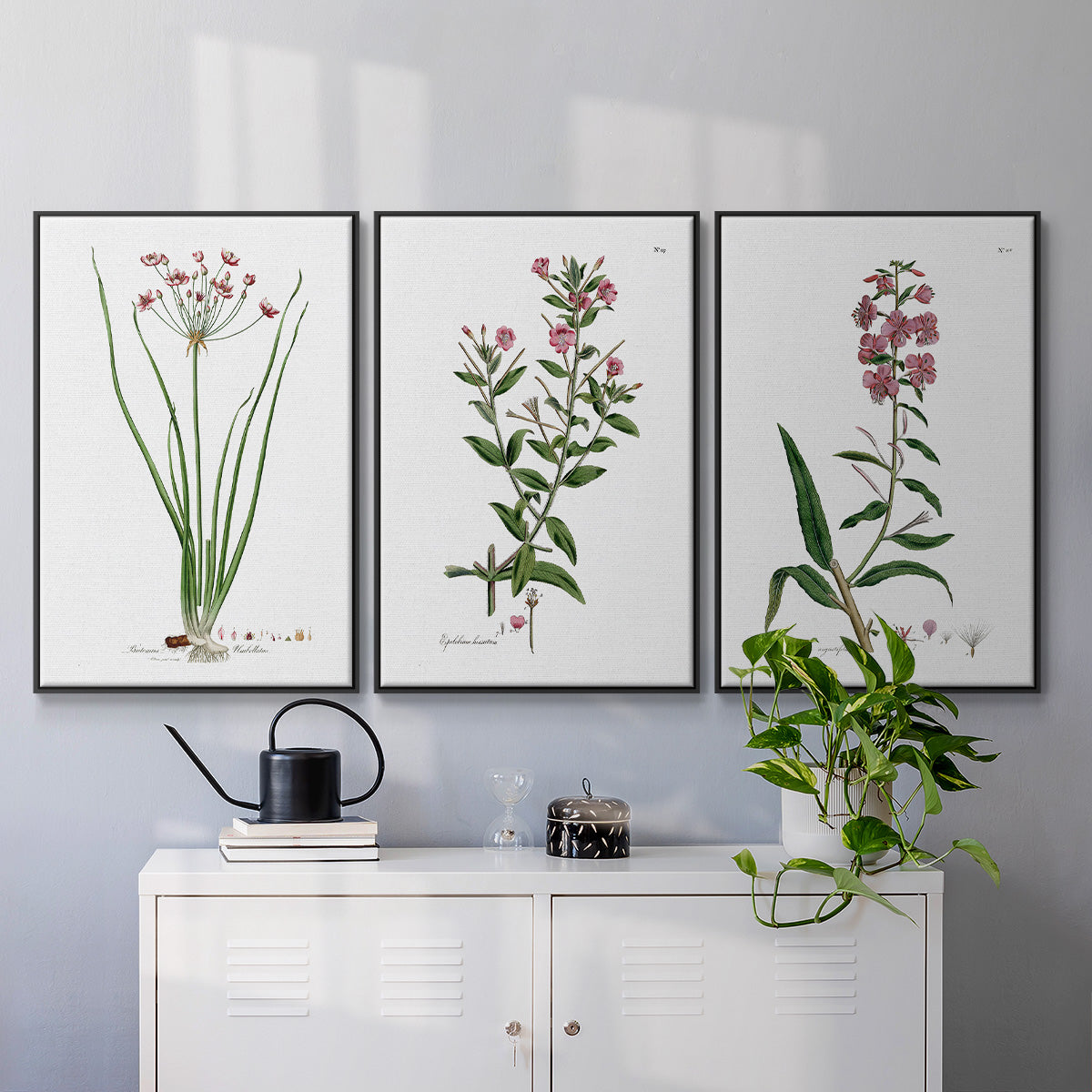 Rose Botanical I - Floater Framed Canvas Set