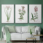 Rose Botanical I - Floater Framed Canvas Set
