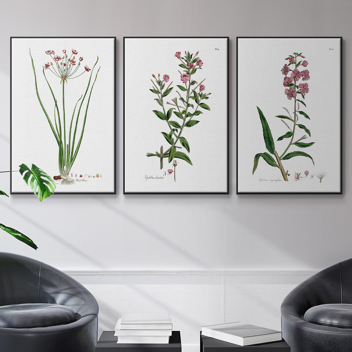 Rose Botanical I - Floater Framed Canvas Set