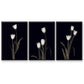 Tulip Pose I - Floater Framed Canvas Set
