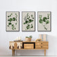 Forest Foliage on Linen I - Floater Framed Canvas Set