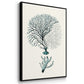 Antique Coastal Coral I - Floater Framed Canvas Set