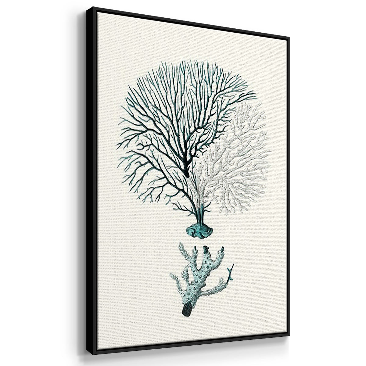 Antique Coastal Coral I - Floater Framed Canvas Set