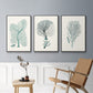 Antique Coastal Coral I - Floater Framed Canvas Set