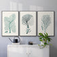 Antique Coastal Coral I - Floater Framed Canvas Set
