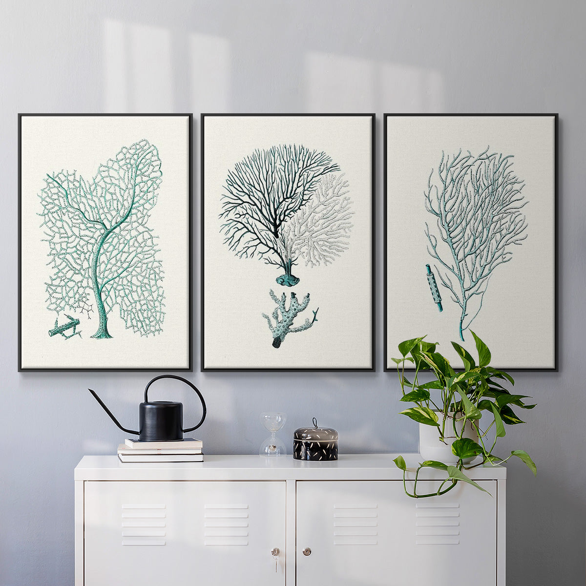 Antique Coastal Coral I - Floater Framed Canvas Set