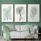 Antique Coastal Coral I - Floater Framed Canvas Set