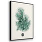 Antique Coastal Coral IV - Floater Framed Canvas Set