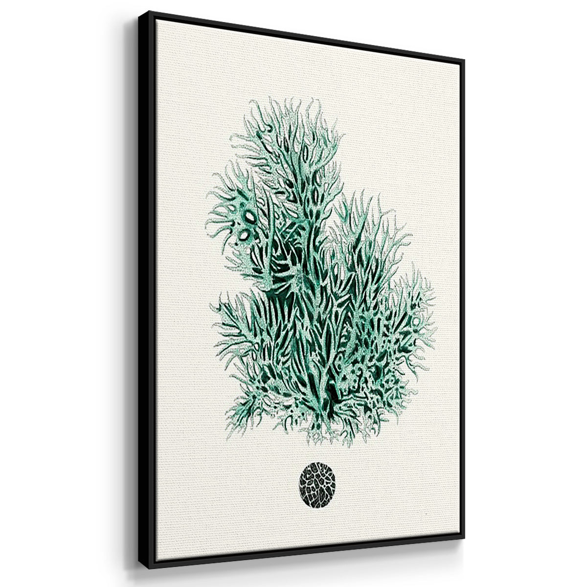 Antique Coastal Coral IV - Floater Framed Canvas Set