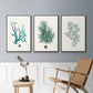 Antique Coastal Coral IV - Floater Framed Canvas Set