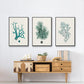 Antique Coastal Coral IV - Floater Framed Canvas Set