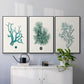 Antique Coastal Coral IV - Floater Framed Canvas Set