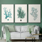 Antique Coastal Coral IV - Floater Framed Canvas Set