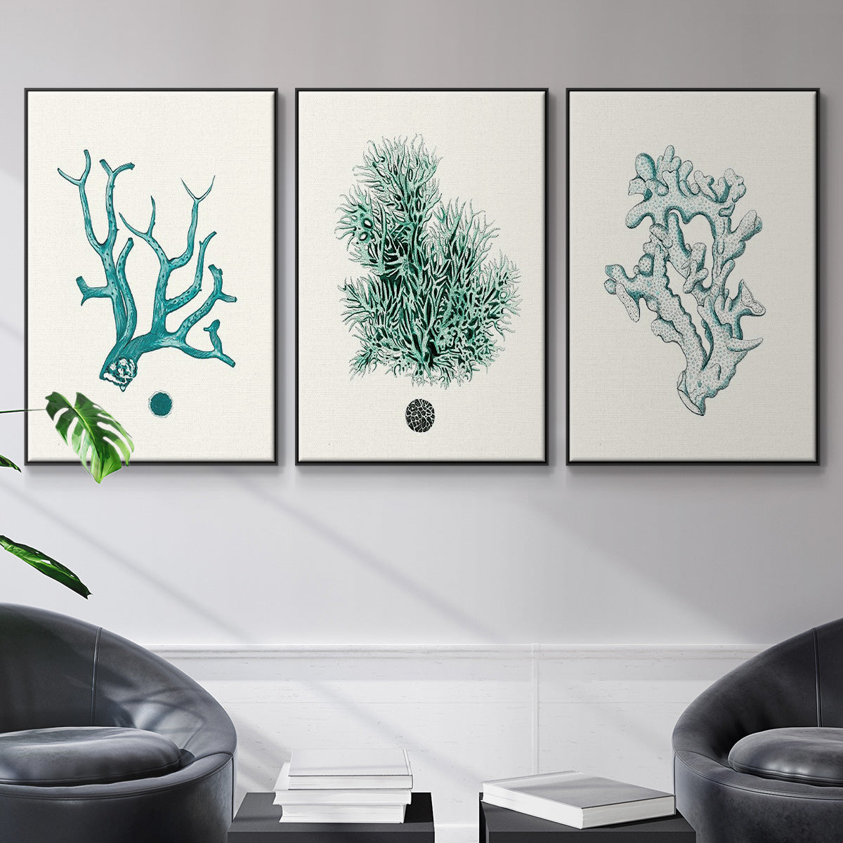 Antique Coastal Coral IV - Floater Framed Canvas Set