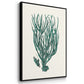 Antique Coastal Coral VI - Floater Framed Canvas Set