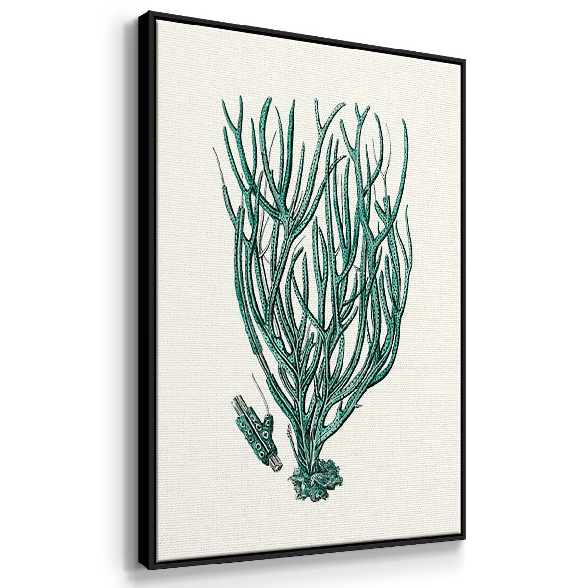 Antique Coastal Coral VI - Floater Framed Canvas Set