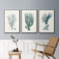 Antique Coastal Coral VI - Floater Framed Canvas Set