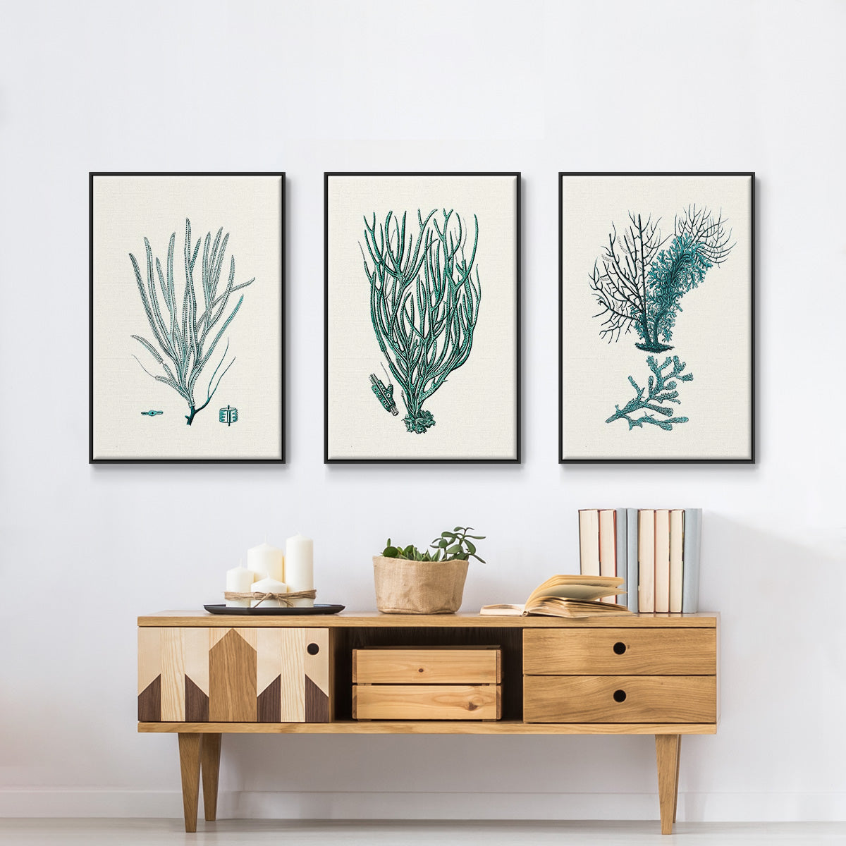 Antique Coastal Coral VI - Floater Framed Canvas Set