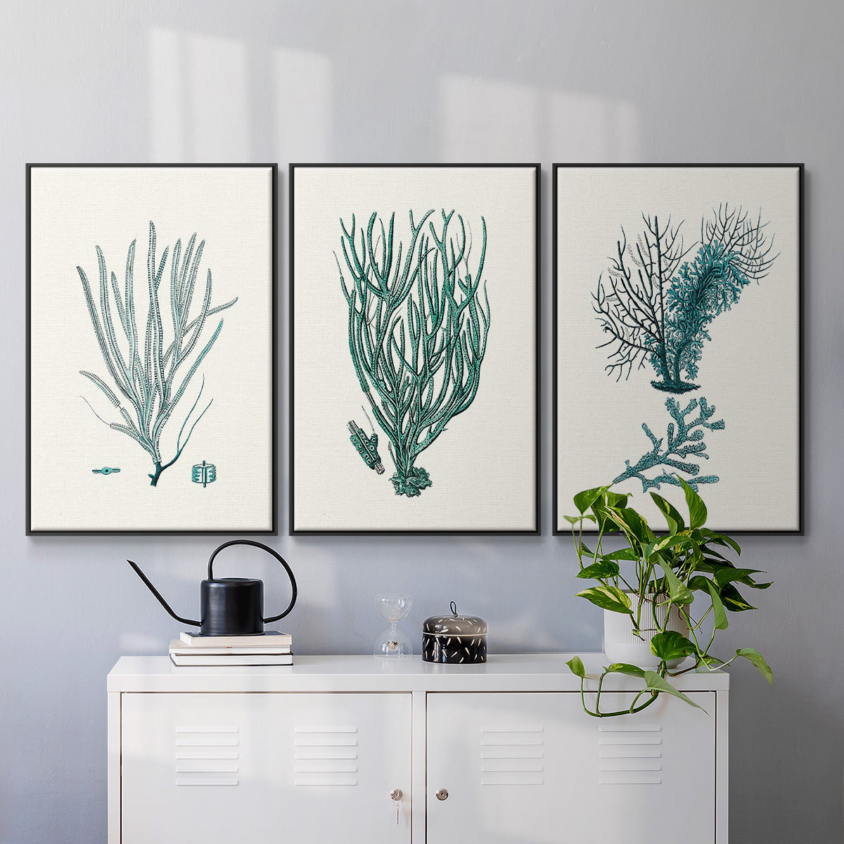 Antique Coastal Coral VI - Floater Framed Canvas Set