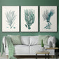 Antique Coastal Coral VI - Floater Framed Canvas Set