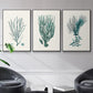 Antique Coastal Coral VI - Floater Framed Canvas Set