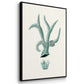 Antique Coastal Coral X - Floater Framed Canvas Set