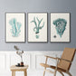 Antique Coastal Coral X - Floater Framed Canvas Set
