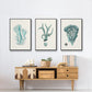 Antique Coastal Coral X - Floater Framed Canvas Set