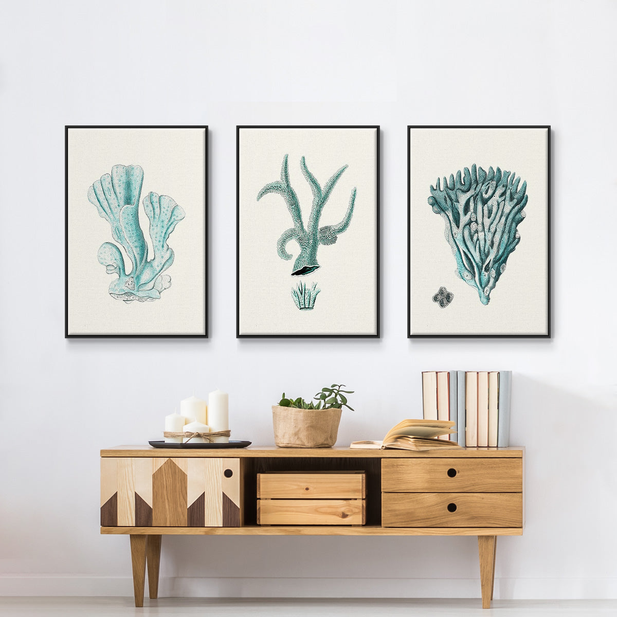 Antique Coastal Coral X - Floater Framed Canvas Set