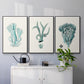 Antique Coastal Coral X - Floater Framed Canvas Set