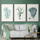 Antique Coastal Coral X - Floater Framed Canvas Set