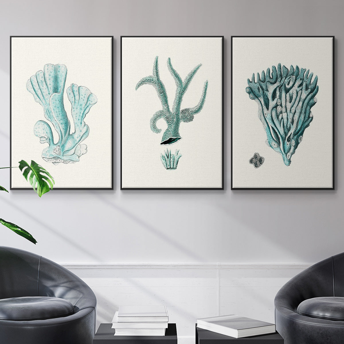 Antique Coastal Coral X - Floater Framed Canvas Set
