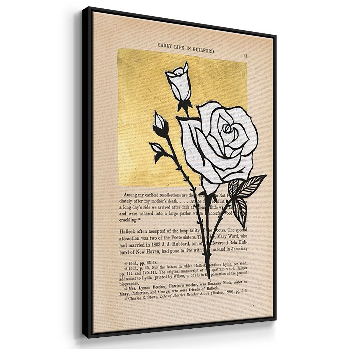 Floral Diary I - Floater Framed Canvas Set