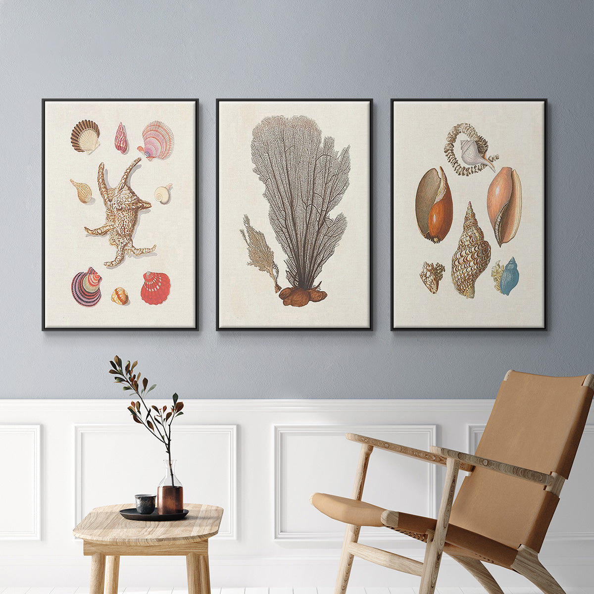 Knorr Shells & Coral I - Floater Framed Canvas Set