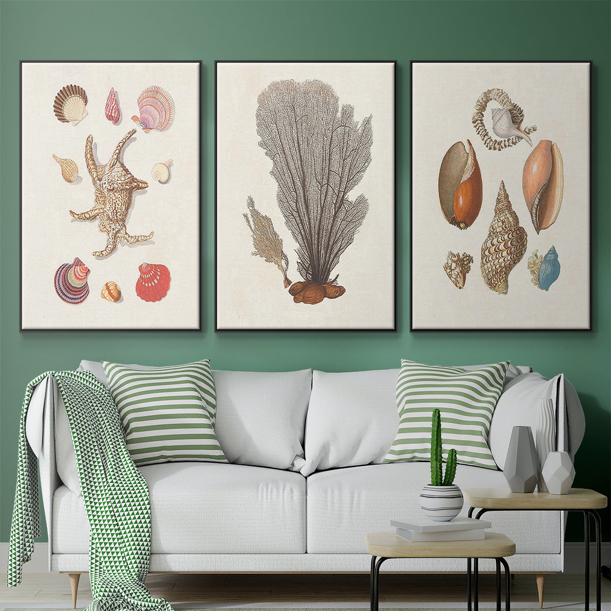 Knorr Shells & Coral I - Floater Framed Canvas Set