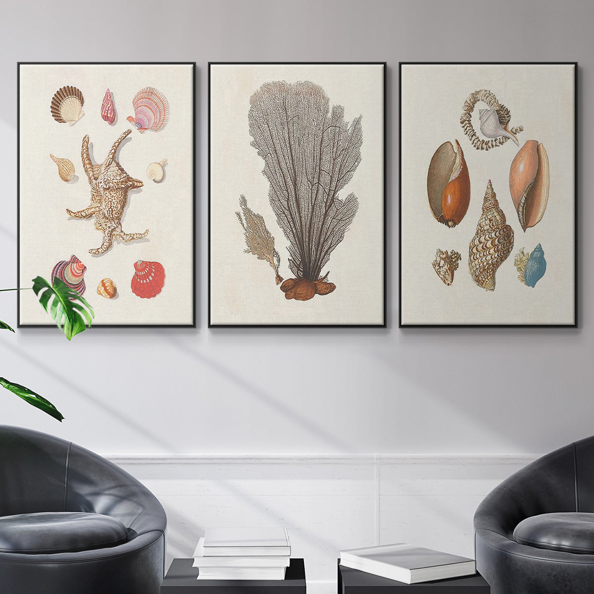 Knorr Shells & Coral I - Floater Framed Canvas Set
